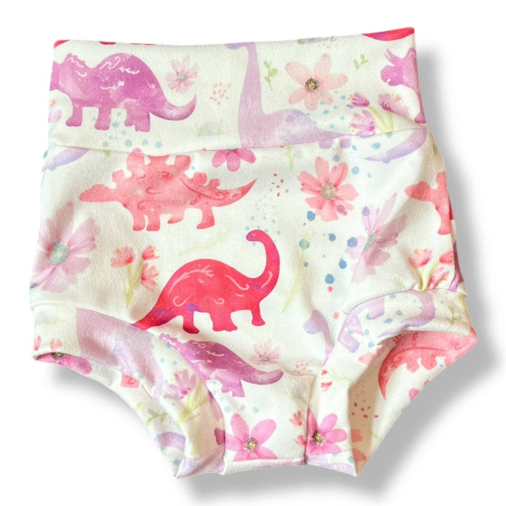 Rawr Dinosaur Baby Bummie Set