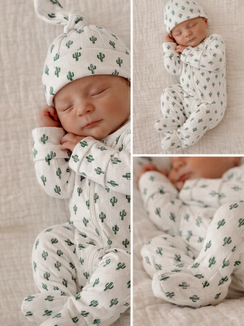 Cactus / Organic Cotton