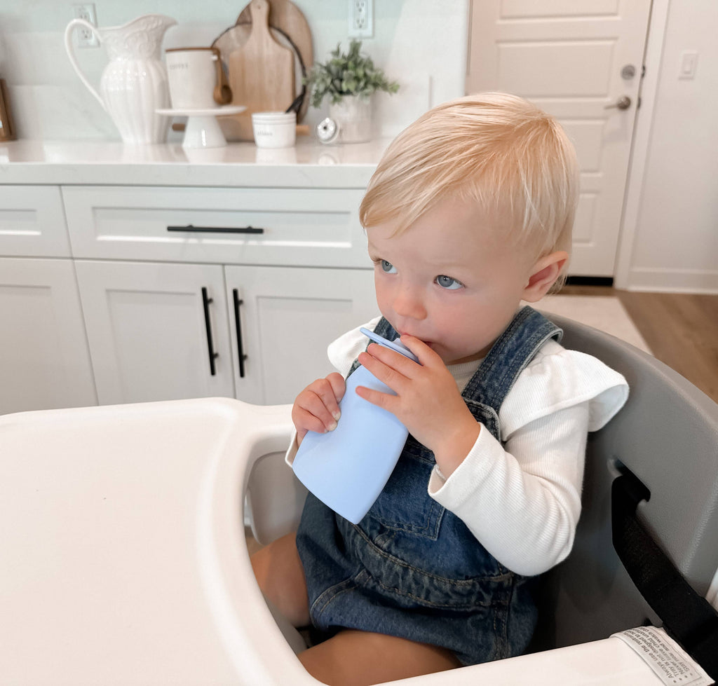 The Palmetto Pouch 2-Pack: Nontoxic Reusable Baby Food Pouch: 2 Pack - Peach and Peach